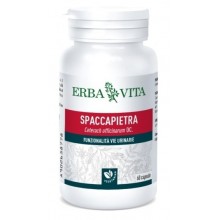 SPACCAPIETRA 60 CAPSULE